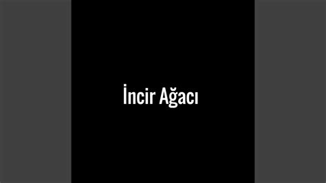 İncir Ağacı - YouTube