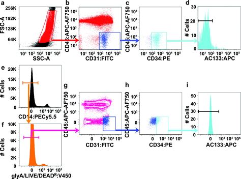 Flow Cytometric Identification And Functional Characterization Of