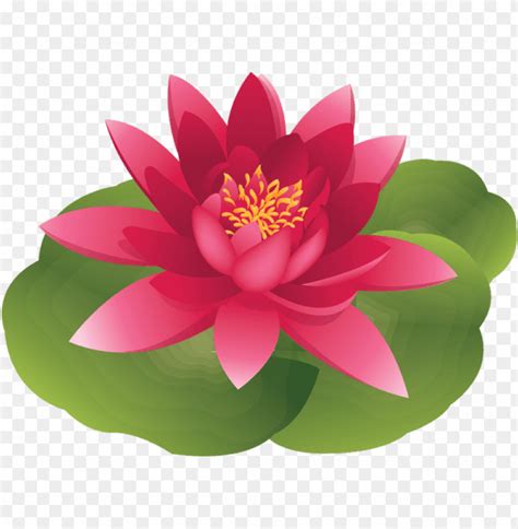 Free Water Lily Cliparts Download Free Water Lily Cliparts Png Images