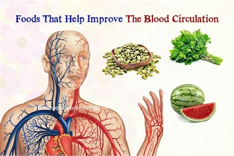 Easy Ways How To Improve Blood Circulation Fast Naturally