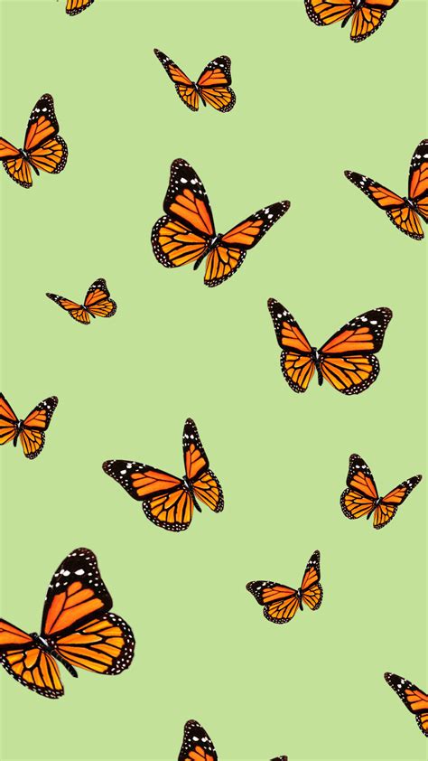 Butterfly Aesthetic Wallpapers - Wallpaper Cave