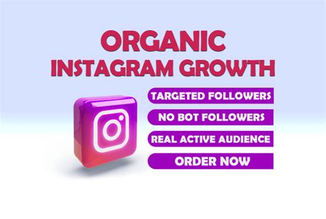 Do Super Fast Organic Instagram Growth By Rehana 10 Fiverr