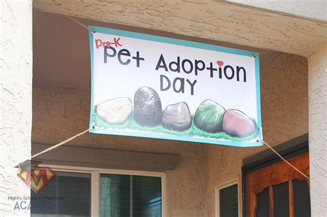 Pre K Pet Adoption Day Mighty Scholars Preschool