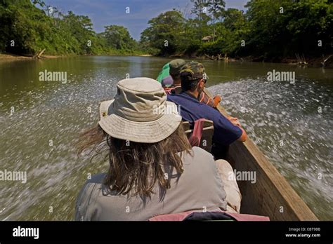 River Trip Through Rainforest Area In A Dugout Honduras La Mosquitia