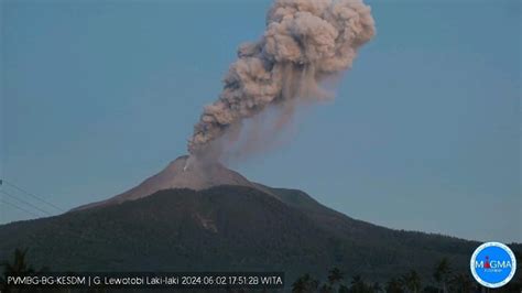 Gunung Lewotobi Laki Kaki Erupsi Semburan Abu Capai 900 Meter