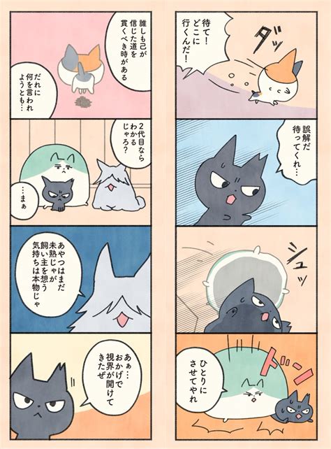 もしもなんて来ないと思ってた猫