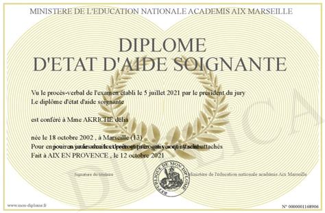 Diplome D Etat D Aide Soignante