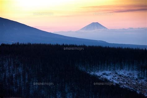 霧ヶ峰からの富士 10517000263 の写真素材・イラスト素材｜アマナイメージズ