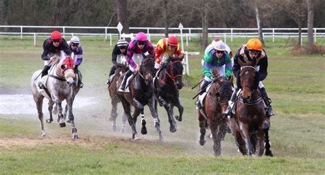 L Hippodrome De Saumur S Engage Pour L Environnement Et Le Bien Tre