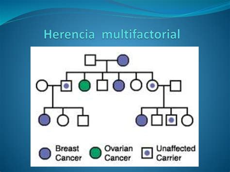 Tema 4 Patrones De Herencia