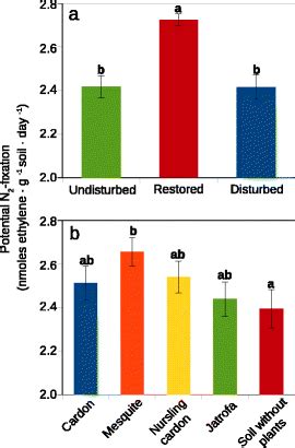 A Potential Activity Of N Fixing Bacteria Measured By Acetylene