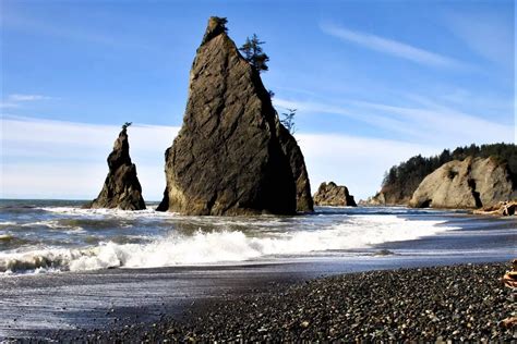 14 Boondocking Olympic National Park In 2024