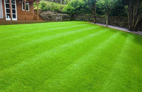 transform  yard  artificial grass ultimate guide
