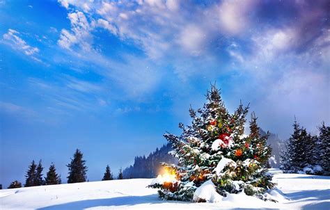 Christmas Landscape Wallpapers - Top Free Christmas Landscape ...