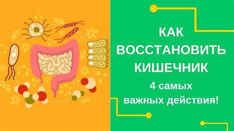 🔥 Как Восстановить Кишечник? 4 самых важных действия! - YouTube