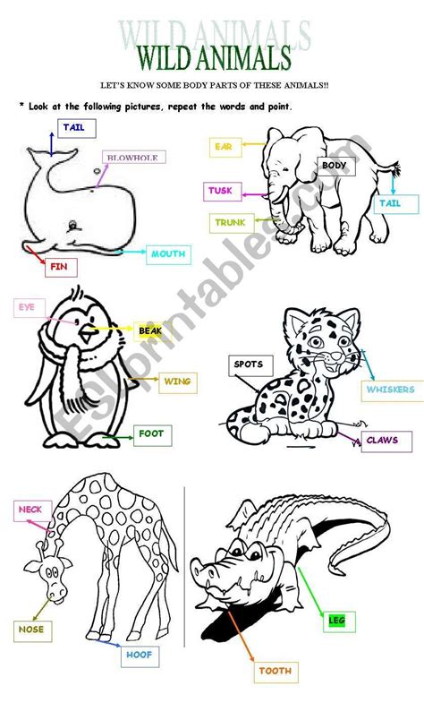 List Of Animals With Scales
