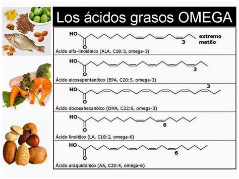 Farmacia Antonio Busto Cuíñas Ácidos grasos Omega 3 Beneficios para