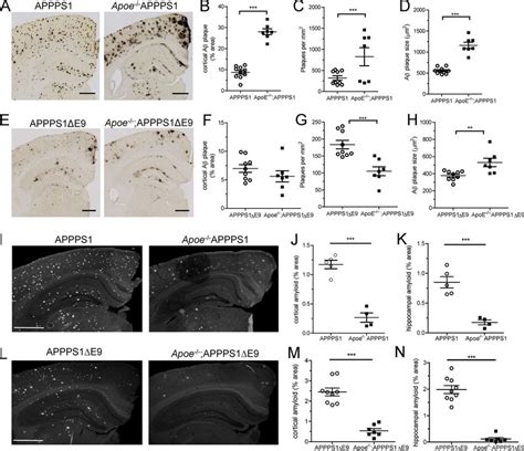 Apoe Deficiency Increases Aβ Plaque Size But Decreases Amyloid Burden