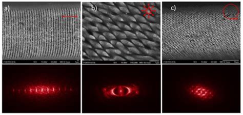 Applied Sciences Free Full Text Recent Advances In Femtosecond Laser Induced Surface