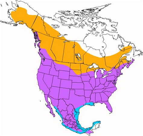 Red Tailed Hawk Ask A Biologist