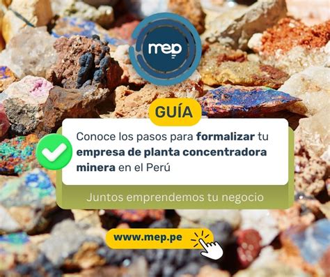 Conoce Los Pasos Para Formalizar Tu Empresa De Planta Concentradora