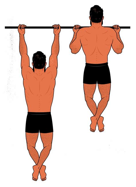 Chin Ups vs Pull Ups Cuál es Mejor para Ganar Músculo