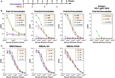 Frontiers Induction Of Potent And Durable Neutralizing Antibodies