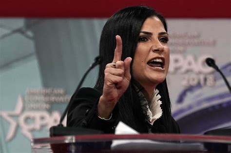 NRA Spokeswoman Dana Loesch Denies Allegation Gun Group Hired Man To