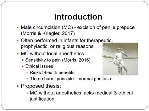 Ethical Position On Male Circumcision Without Anesthesia 1472 Words