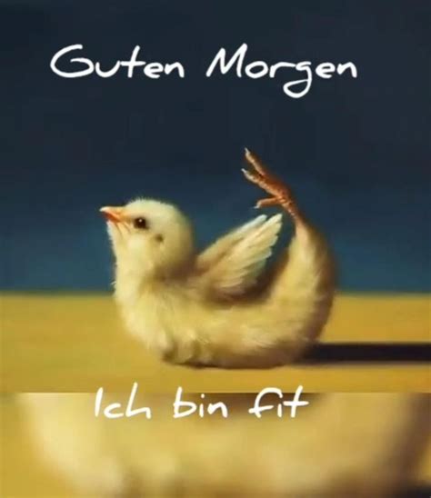 Pin Von Anne Auf Morgens In Guten Morgen Gruss Guten Morgen