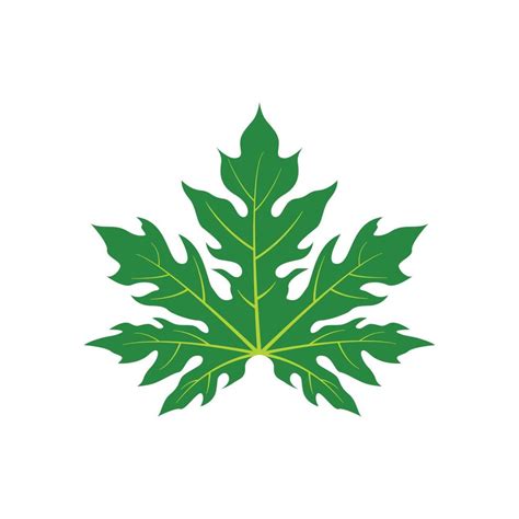 papaya leaf icon 20898680 Vector Art at Vecteezy