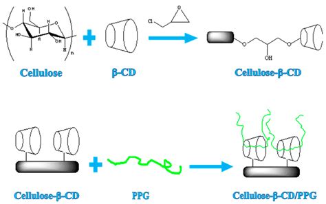 Polymers Free Full Text Controllable Construction Of Temperature