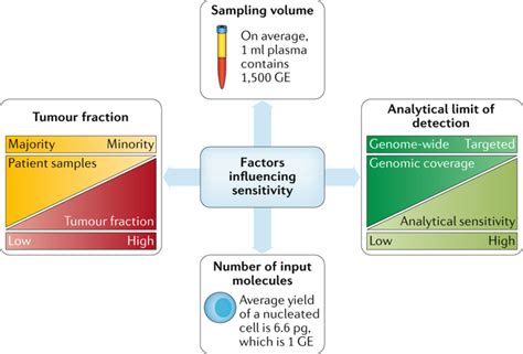 Current And Future Perspectives Of Liquid Biopsies In Genomics Driven