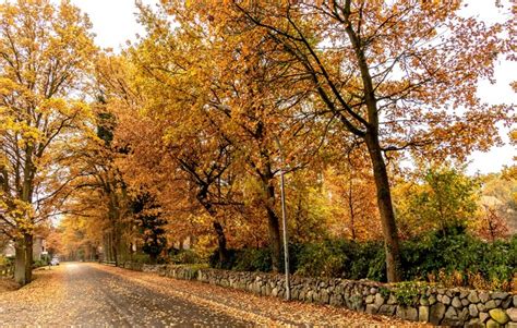 4K Brocken Station Lower Saxony Germany Autumn Roads Trees