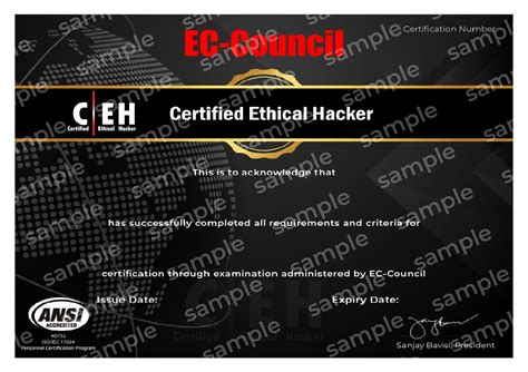 Top Certified Ethical Hacker CEH V12 Training In Dubai