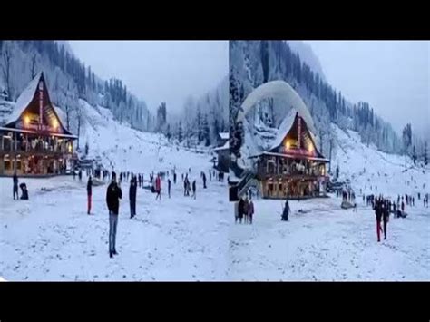 Shimla Narkanda Snowfall Update Shimla Kufri Narkanda Snowfall Today