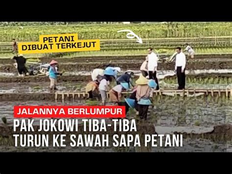 TURUN KE SAWAH DI BANYUMAS Presiden Jokowi Dengarkan Keluhan Para