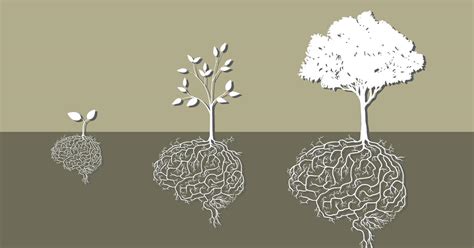How psychedelic DMT promotes the production of new brain cells