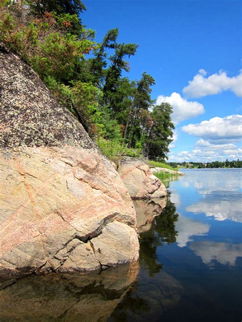 Kostenlose Foto Landschaft Meer K Ste Baum Wasser Natur Rock