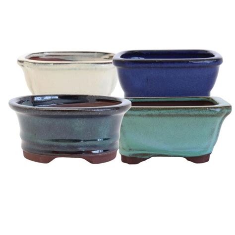 Willory Bonsai Pot Pots And Planters Mitre 10™