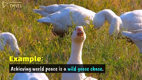 Wild Goose Chase Idiom Idioms And Phrases, English Idioms, World Peace ...