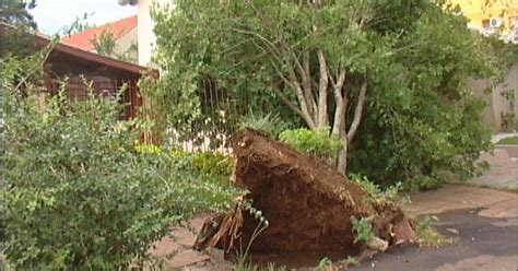 G Temporal Destelha Casas E Derruba Rvores Em Santo Ngelo Rs