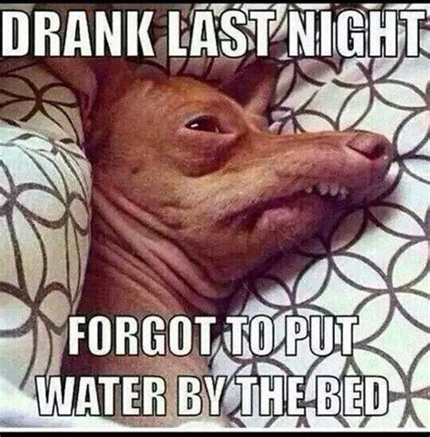 42 Hangover Memes That Capture The Regret Of Drinking Too Much