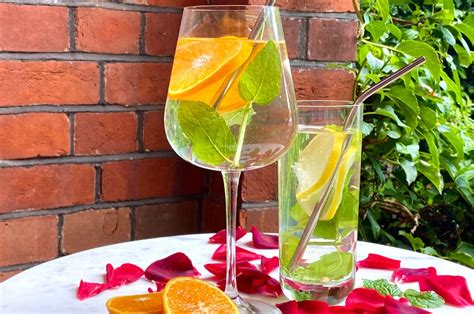 Citrus And Mint Infused Water Surekha Sadana