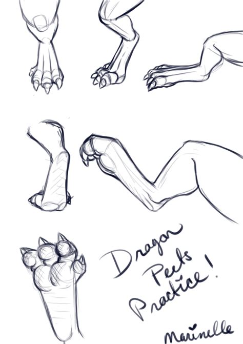 Dragon Feet Drawing Reference