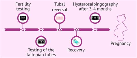 Process of tubal ligation reversal treatment