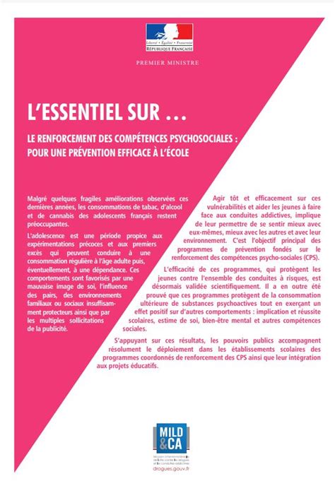 Lessentiel Sur Le Renforcement Des Compétences Psychosociales