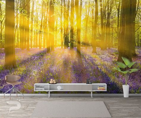 Sunny Forest Morning WALL MURAL, Forest Wallpaper, Spring Sunrise Wall ...