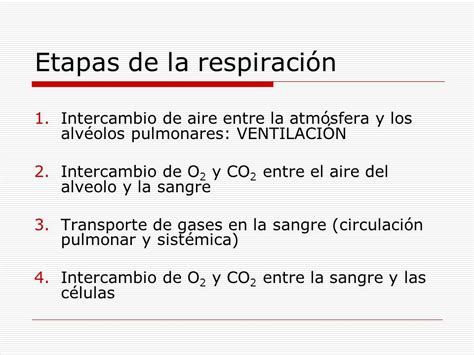 FISIOLOGIA RESPIRATORIA Ppt Descargar