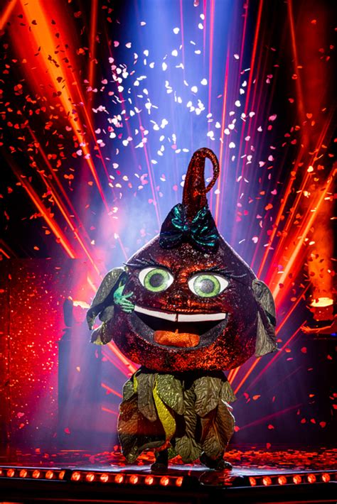 Erik Van Looy The Masked Singer In Lint Showbizzsite